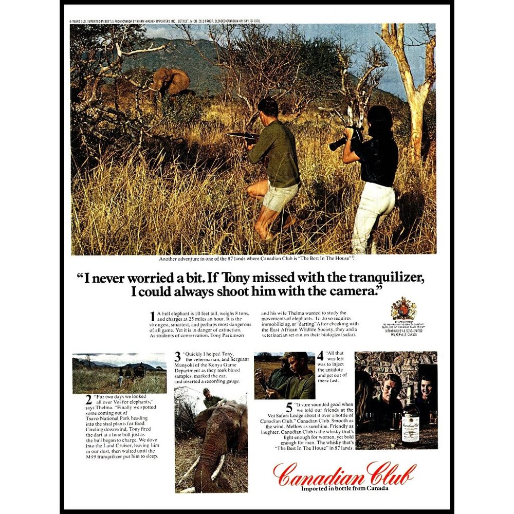 1970 Canadian Club Whiskey Vintage Print Ad Big Game Elephant Tsavo Park Africa